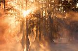 Misty Lake Martin Sunrise_25820